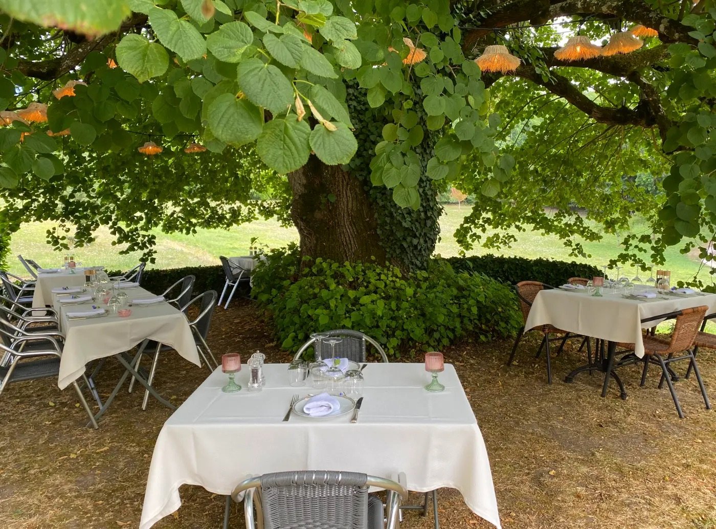 Tables dressées en terrasse, à l'ombre du tilleul tricentenaire du manoir